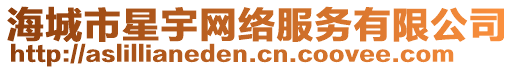 海城市星宇網絡服務有限公司