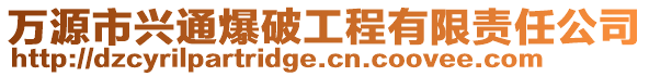 萬源市興通爆破工程有限責任公司