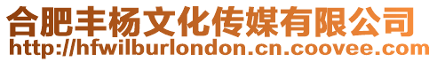 合肥豐楊文化傳媒有限公司