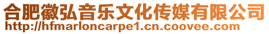 合肥徽弘音樂(lè)文化傳媒有限公司