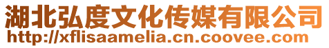 湖北弘度文化傳媒有限公司