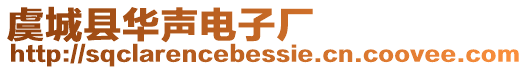 虞城縣華聲電子廠