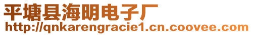 平塘縣海明電子廠