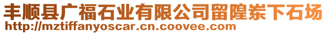 豐順縣廣福石業(yè)有限公司留隍崠下石場