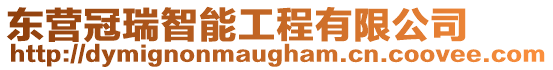 東營冠瑞智能工程有限公司