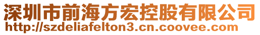 深圳市前海方宏控股有限公司