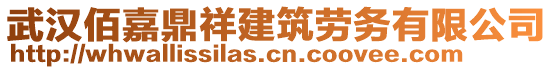 武漢佰嘉鼎祥建筑勞務(wù)有限公司