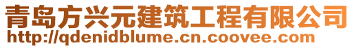 青島方興元建筑工程有限公司