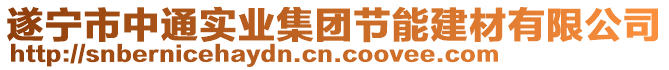 遂寧市中通實業集團節能建材有限公司