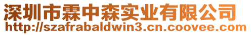 深圳市霖中森實業有限公司