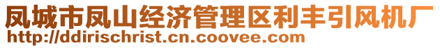 鳳城市鳳山經(jīng)濟(jì)管理區(qū)利豐引風(fēng)機(jī)廠