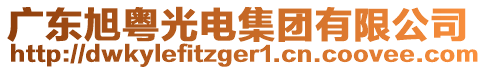 廣東旭粵光電集團(tuán)有限公司