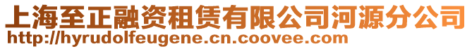 上海至正融資租賃有限公司河源分公司