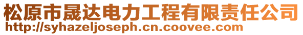 松原市晟達電力工程有限責任公司