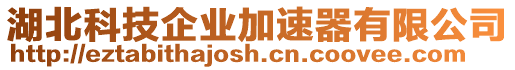 湖北科技企業(yè)加速器有限公司