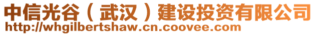 中信光谷（武漢）建設投資有限公司