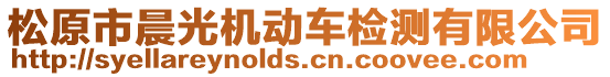 松原市晨光機(jī)動(dòng)車檢測(cè)有限公司