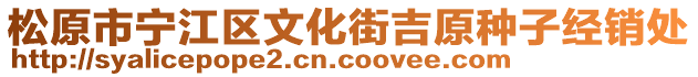 松原市寧江區(qū)文化街吉原種子經(jīng)銷處