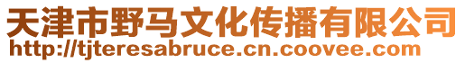 天津市野馬文化傳播有限公司