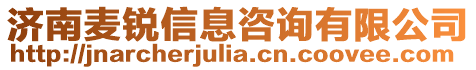 濟(jì)南麥銳信息咨詢有限公司