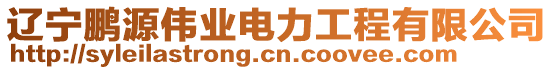 遼寧鵬源偉業(yè)電力工程有限公司