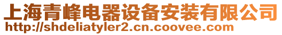 上海青峰電器設(shè)備安裝有限公司