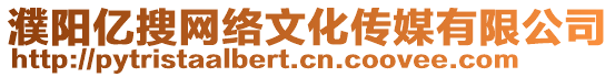 濮陽億搜網絡文化傳媒有限公司