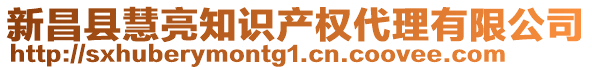 新昌縣慧亮知識(shí)產(chǎn)權(quán)代理有限公司