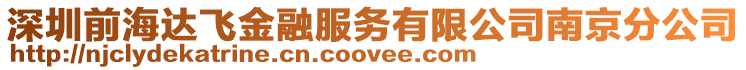 深圳前海達(dá)飛金融服務(wù)有限公司南京分公司