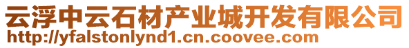 云浮中云石材產(chǎn)業(yè)城開(kāi)發(fā)有限公司
