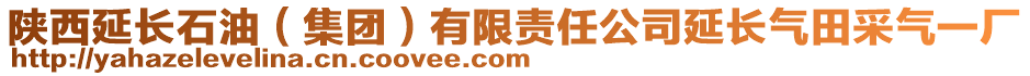 陜西延長石油（集團）有限責(zé)任公司延長氣田采氣一廠