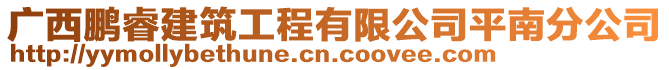 廣西鵬睿建筑工程有限公司平南分公司