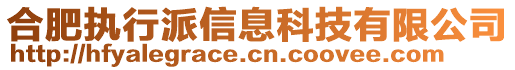 合肥執(zhí)行派信息科技有限公司