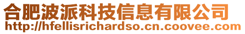 合肥波派科技信息有限公司