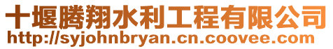 十堰騰翔水利工程有限公司