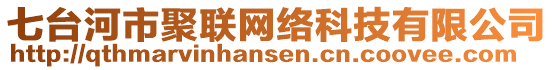 七臺(tái)河市聚聯(lián)網(wǎng)絡(luò)科技有限公司