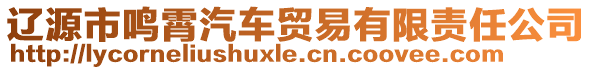 遼源市鳴霄汽車貿(mào)易有限責(zé)任公司