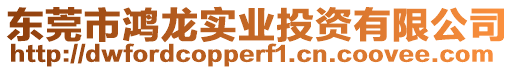 東莞市鴻龍實(shí)業(yè)投資有限公司