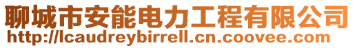 聊城市安能電力工程有限公司