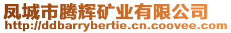 鳳城市騰輝礦業(yè)有限公司