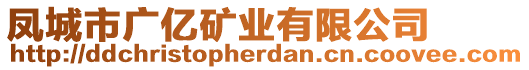 鳳城市廣億礦業(yè)有限公司