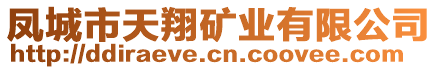 鳳城市天翔礦業(yè)有限公司