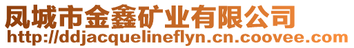 鳳城市金鑫礦業(yè)有限公司