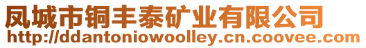 鳳城市銅豐泰礦業(yè)有限公司