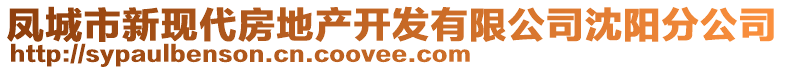 鳳城市新現(xiàn)代房地產(chǎn)開發(fā)有限公司沈陽分公司