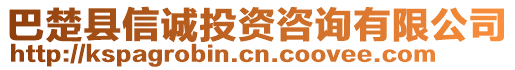 巴楚縣信誠投資咨詢有限公司