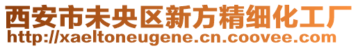 西安市未央?yún)^(qū)新方精細化工廠