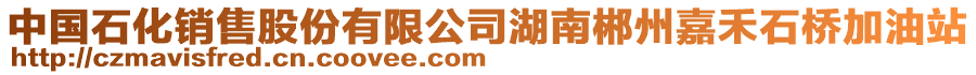 中國(guó)石化銷售股份有限公司湖南郴州嘉禾石橋加油站