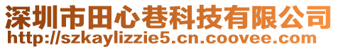 深圳市田心巷科技有限公司