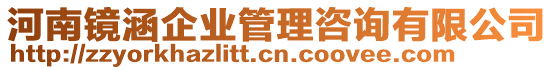 河南鏡涵企業(yè)管理咨詢有限公司